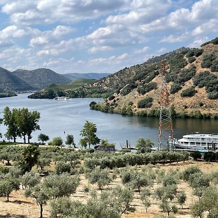 Вілла Douro Visit House Торрі-ді-Монкорву Екстер'єр фото