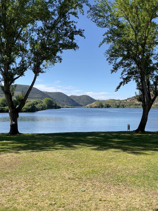 Вілла Douro Visit House Торрі-ді-Монкорву Екстер'єр фото