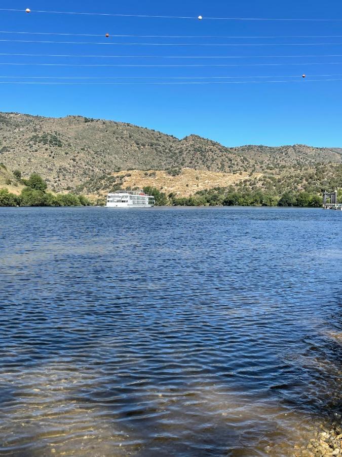 Вілла Douro Visit House Торрі-ді-Монкорву Екстер'єр фото