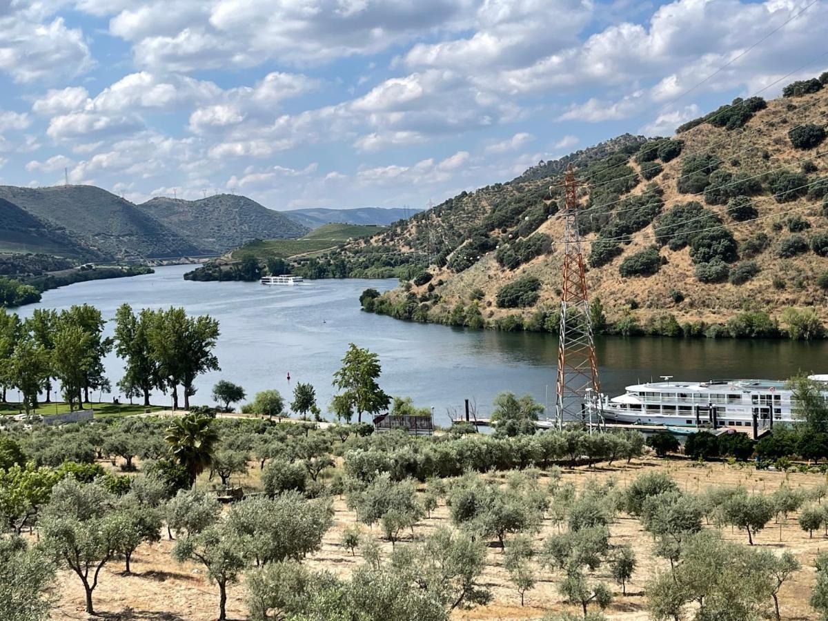 Вілла Douro Visit House Торрі-ді-Монкорву Екстер'єр фото