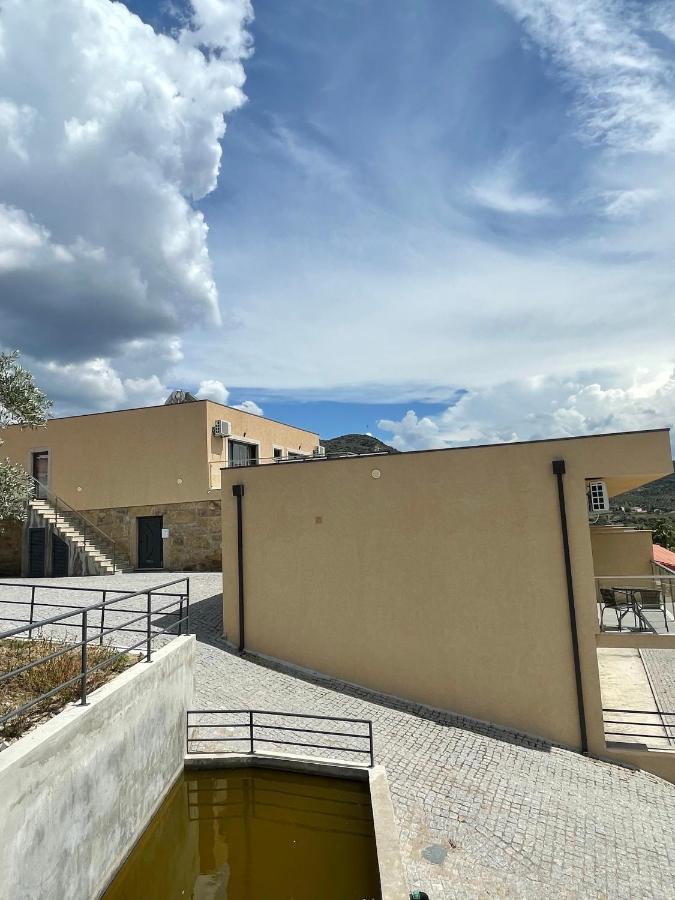 Вілла Douro Visit House Торрі-ді-Монкорву Екстер'єр фото