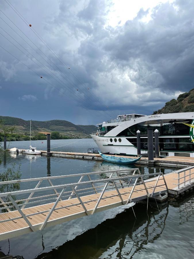 Вілла Douro Visit House Торрі-ді-Монкорву Екстер'єр фото