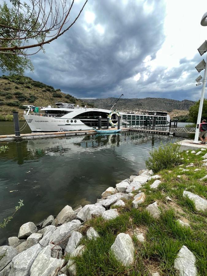 Вілла Douro Visit House Торрі-ді-Монкорву Екстер'єр фото